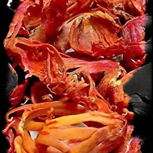 जावित्री