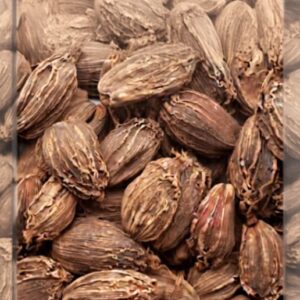 बड़ी इलायची